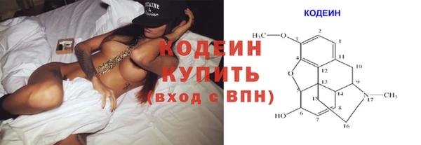 прущий лед Пересвет