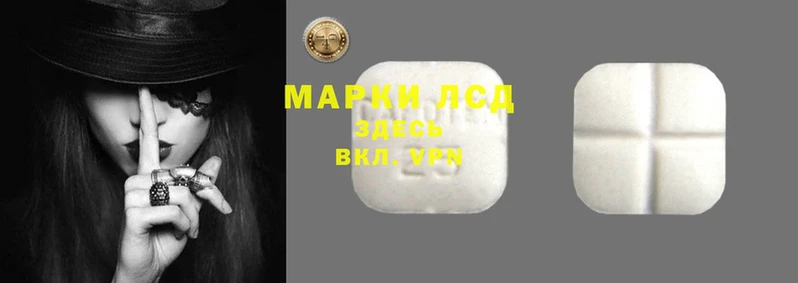 ПСИЛОЦИБИНОВЫЕ ГРИБЫ Покровск