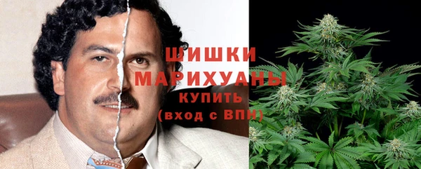 ПСИЛОЦИБИНОВЫЕ ГРИБЫ Покровск