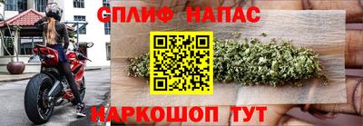 шишки Ирбит