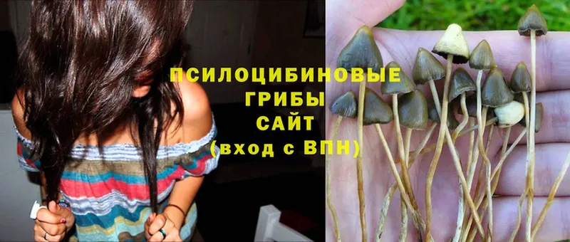 Псилоцибиновые грибы Magic Shrooms  ссылка на мегу ссылка  Корсаков 