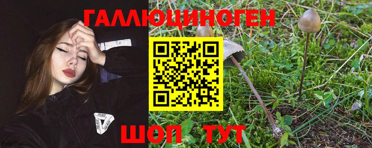 Галлюциногенные грибы Magic Shrooms Корсаков