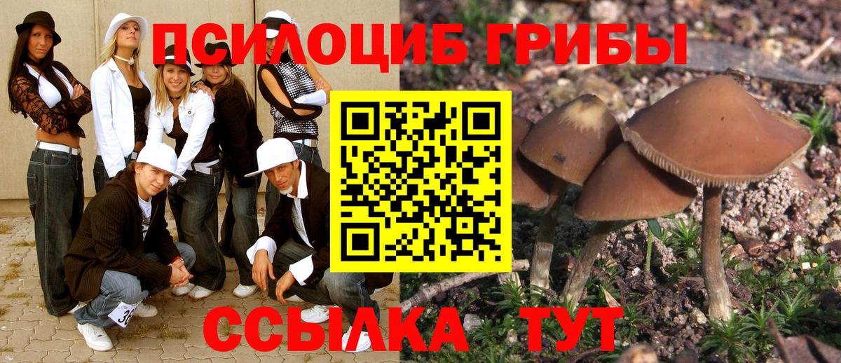 Псилоцибиновые грибы Magic Shrooms  дарнет шоп  Корсаков 